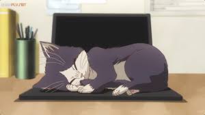 In taking care of the cat, subaru slowly finds his world becoming more broad, as more people join his life and the cat helps him remember what family is. Doukyonin Wa Hiza Tokidoki Atama No Ue Tv Series 2019 Imdb