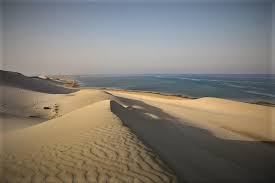 Collections of art and paintings are concentrated here, which are constantly replenished, excursion in qatar can last for many hours, stories of guides do not stop. Private Desert Safari Dune Bashing Camel Ride Sand Boarding Inland Sea Visit Marriott