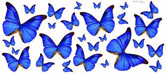 See high quality wallpapers follow the tag #grey butterfly aesthetic wallpaper. Aesthetic Blue Butterfly Wallpaper Laptop Total Update