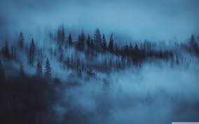 Aesthetic Mac Black Wallpapers Wallpaper Cave