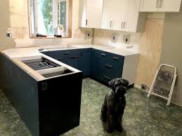Check spelling or type a new query. 87 Kitchen Dogs Ideas In 2021 Superior Cabinets Home Dogs