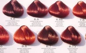 Copper Red Red Copper Hair Color Shades Of Red Hair Red