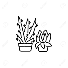 All cactus clip art are png format and transparent background. Black White Vector Illustration Of Succulent Cactus In Pots Royalty Free Cliparts Vectors And Stock Illustration Image 110404475