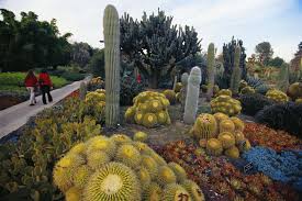 Things to do in san diego. Most Beautiful Public Gardens In Los Angeles