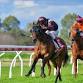 Race Day - Tuesday 28th October event image