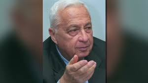 Brain activity detected in Ariel Sharon