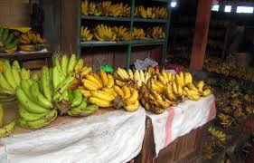 This easy pisang goreng (indonesian banana fritters) recipe tastes amazing and is a very simple dinner recipe. Eating On The Wild Side Pisang Mas Bananas From Malaysia Slices Of Blue Sky
