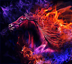 Fire Horse Wallpapers Top Free Fire Horse Backgrounds Wallpaperaccess 2560x1600 pictures hd horse desktop wallpapers high definition monitor download free amazing background 1920x1200 free horse wallpapers full hd windows 10 backgrounds amazing free quality images computer mac : fire horse wallpapers top free fire