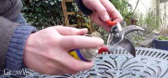 Maybe you would like to learn more about one of these? How To Care For And Sharpen Gardening Tools