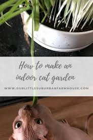 We did not find results for: How To Make An Indoor Cat Garden Our Little Suburban Farmhouse