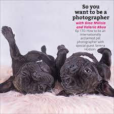 Maybe you would like to learn more about one of these? Ep 170 How To Be An Internationally Acclaimed Pet Photographer With Special Guest Serena Hodson Gina Milicia