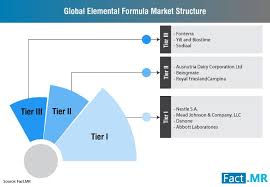 Elemental Formula Market Forecast Trend Analysis Competition Tracking Global Market Insights 2018 To 2028 Marketing Plumbing Problems Competition