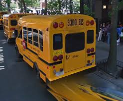 Image result for Brown 1999 Fleet