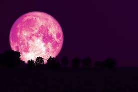 When to see the full moon in april 2021 Pink Supermoon Set To Dazzle Vancouver Skies This April Vancouver Is Awesome