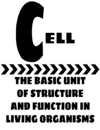 Learn vocabulary, terms, and more with flashcards, games, and other study tools. 7th Grade Scientific Alphabet By Keri Barnes Teachers Pay Teachers