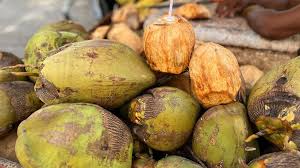 Image result for Cocos