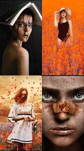 Storytelling: 366 stories in images that will always endure