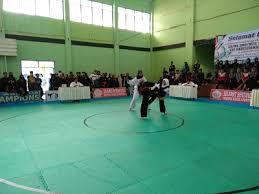 Serangan yang baik dari seorang atlet pencak silat dapat meminimalisir serangan lawan dan dapat menjadikan kemenangan menjadi lebih cepat. 15 Kelas Dipertandingkan Cabor Pencak Silat Pemerintah Provinsi Jawa Tengah