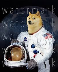The price of dogecoin ( doge ) rallied by roughly 25% on dec. Doge Dogecoin Meme Coin 8x10 Print Photo Photograph Picture Poster Wall Art Rp Ebay