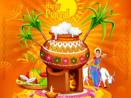 Looking to wish your friends and family a happy new year? Yi9lvhzaov3 Zm