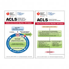 Aha American Heart Association Training Supplies
