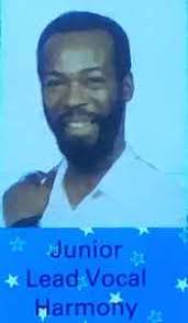 Junior Bailey Discography: Vinyl, CDs, & More