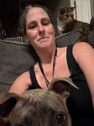 Is ADAPTIL effective for calming dogs?