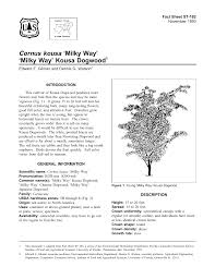 We did not find results for: Cornus Kousa Milky Way Milky Way Kousa Dogwood Fact Sheet St 192 1