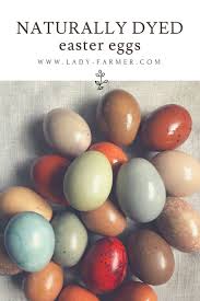 Joan Hasenauer (jchasenauer)