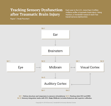 Tracking Retinal Damage After Traumatic Brain Injury