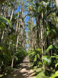 The Beautiful Southeast Botanical Gardens in Okinawa City - PCS Okinawa