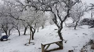 Después de 14 años, la ola de frío que atraviesa gran parte del país produjo una inédita nevada en la ciudad de córdoba. Nevo En Las Sierras Del Sur De Cordoba Infobae