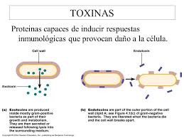 Subtopic