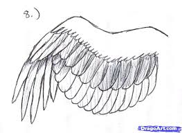 How To Draw A Simple Bird Wing Step 8 Wings Drawing Bird Wings Owls Drawing