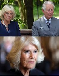 Queen Camilla's sudden stop of royal duties sparks speculation