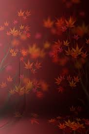 25 Studio Background Hd Images For Photoshop Photoshop Wallpapers Studio Background Photoshop Backgrounds