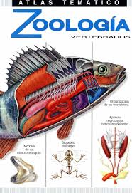 1,505,808 likes · 9,899 talking about this. Atlas Tematico De Zoologia Vertebrados Freelibros