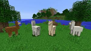 How abot chest and redstone chest? How To Tame And Ride Llamas In Minecraft Minecraft