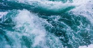 70 % pour la peau, 75 % pour les muscles, 76 % pour le cerveau et 79 % pour le sang et le cœur. Quelles Sont Les Ressources En Eau Dans Le Monde Centre D Information Sur L Eau