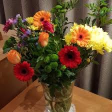 AJ Lloyd (ajlloyd10)