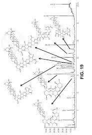 Image result for Magnistipula sapinii