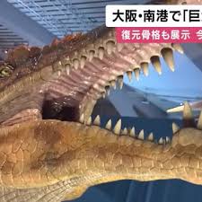 Yahoo!ニュース - News update