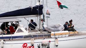 Trend Google: flotilla