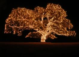 White Christmas Lights Walmart Batteriebetriebene Led Weihnachtsbeleuchtung Gunstig White Christmas Trees Beleuchtete Baume Baumdeko Led Weihnachtsbeleuchtung