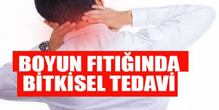 Bel Ve Boyun Agrilari Nasil Gecer Boyun Fitigi Bitkisel Tedavi