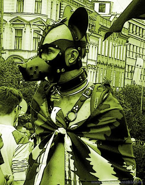 Pochod Prague Pride nezastavila ani národní hrdost – Evropský rozhled