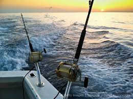 Most of the great pictures of fish you see on our fishing report page have been caught using trolling methods, with a few exceptions. 20 Premium Deep Sea Fishing Simulator Deep Sea Fishing Poles And Reels Combo Fishingboat Fishinglure Deepseafi Sea Fishing Sea Fishing Rods Deep Sea Fishing