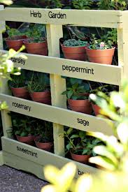 However, some herbs like thyme, sage and borage are more well suited to cooler, damper climates, so will need some shade. 35 Creative Herb Garden Ideas For Indoors And Outdoors Herb Garden Pallet Diy Herb Garden Indoor Herb Garden