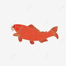 Ikan perak, seafood crab fish sebagai makanan ikan mas biasa, ikan ikan, hewan, ikan melompat png. Gambar Pola Ikan Mas Vektor Lineart Tersebut Vektor Karper Pola Png Dan Vektor Dengan Latar Belakang Transparan Untuk Unduh Gratis