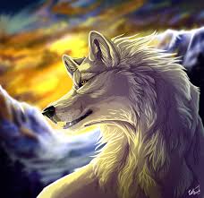 Kian by sidonie.deviantart.com on @deviantart | canine art. White Wolf By Wolfroad On Deviantart On We Heart It